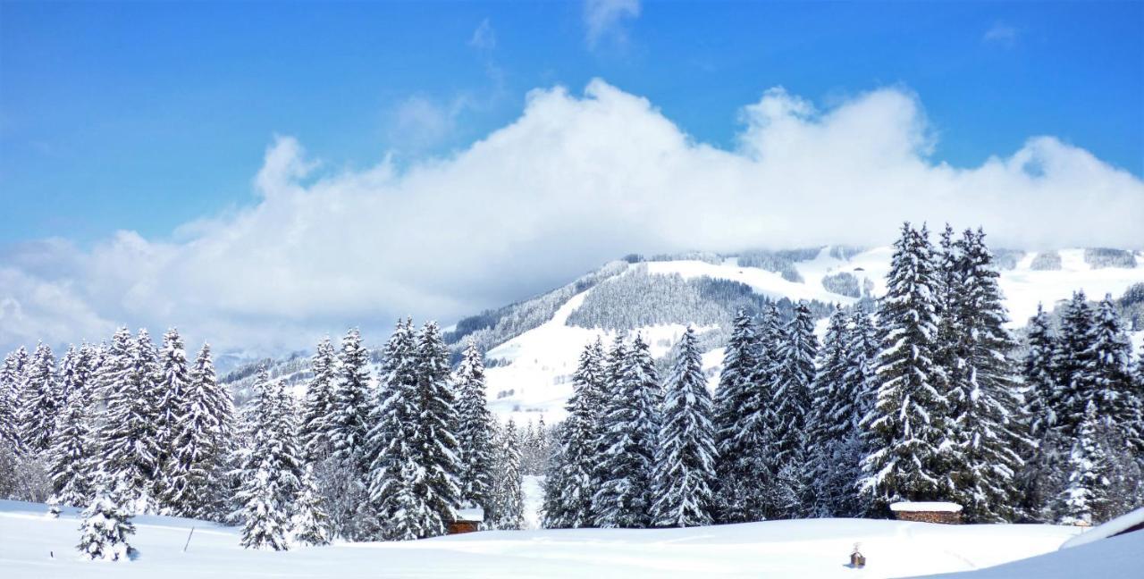 Hotel La Grange D'Arly Megeve Exterior photo